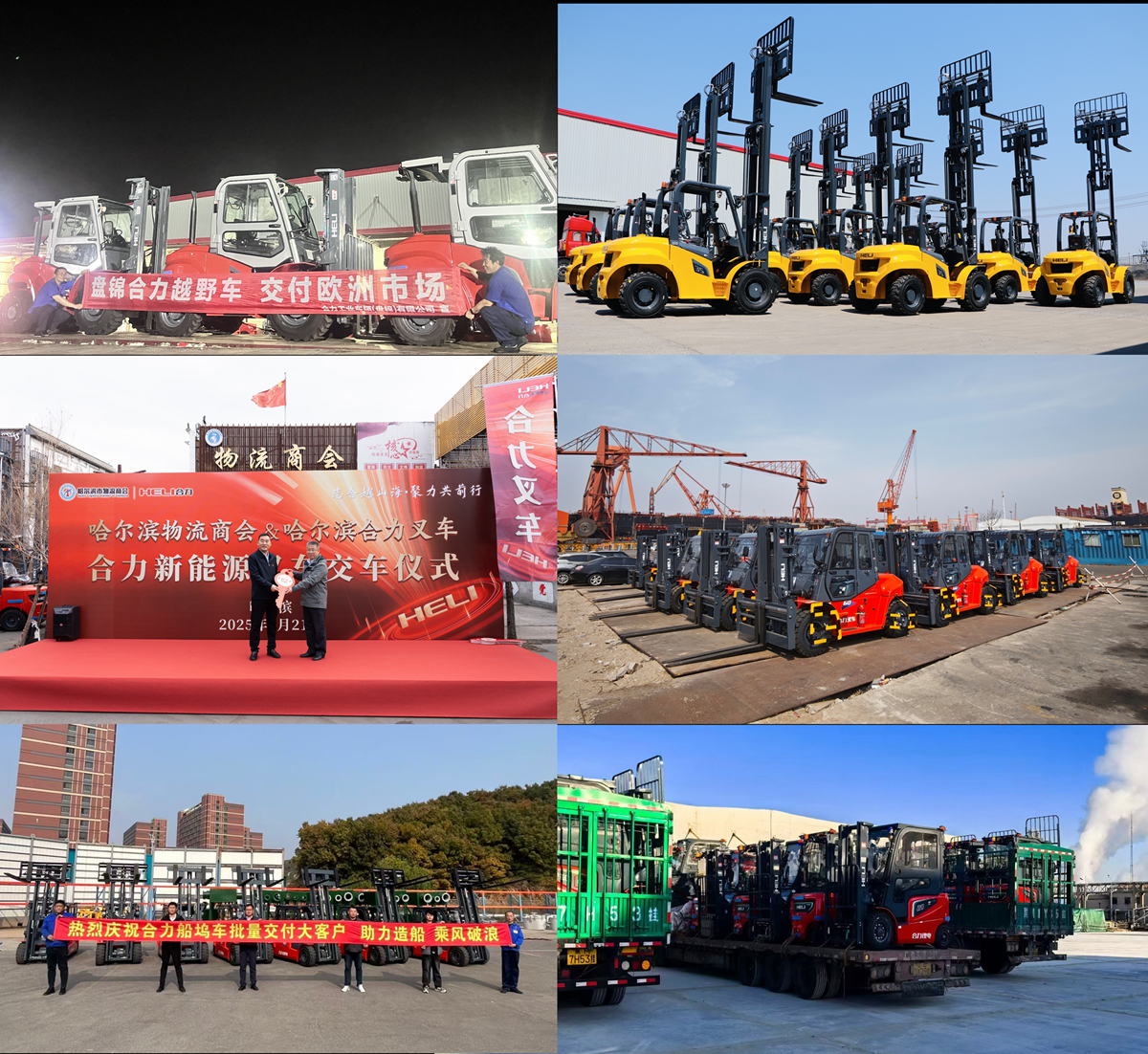 10.國內外客戶定制車型批量交付市場1.png